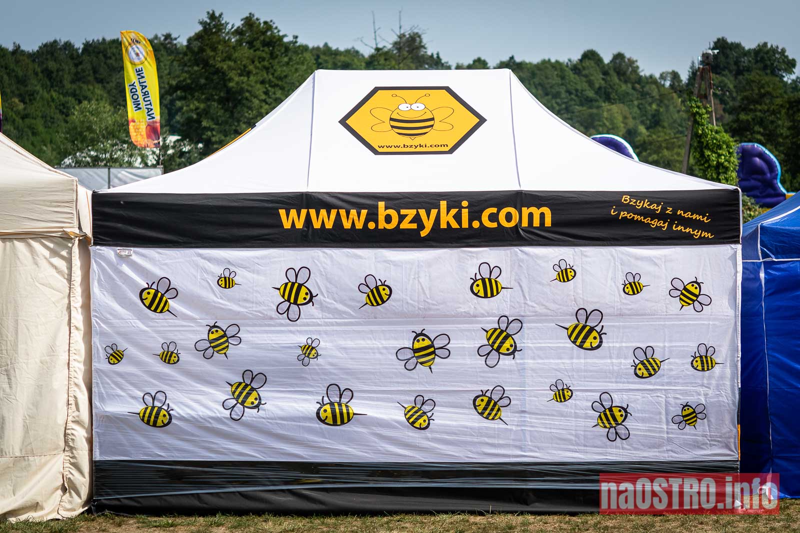 NaOSTROinfo Święto pszczoły 2022 Bałtów-14