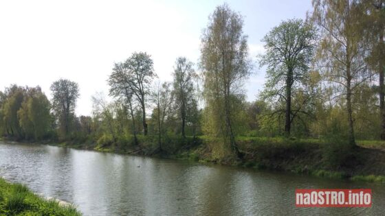 Częstocice. Staw. fot. Marzena Gołębiowska/naOSTRO.info